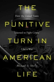 The Punitive Turn In American Life