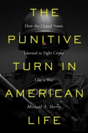 The Punitive Turn In American Life