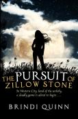 The Pursuit Of Zillow Stone
