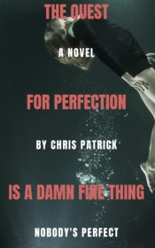 The Quest For Perfection (Is A Damn Fine Thing)