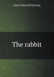 The Rabbit