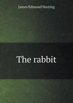Bertrand.pt - The Rabbit