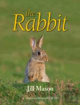 The Rabbit