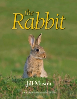 Bertrand.pt - The Rabbit
