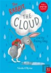 The Rabbit, The Cloud And The Rainy Day