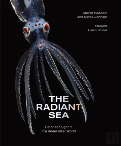 Bertrand.pt - The Radiant Sea