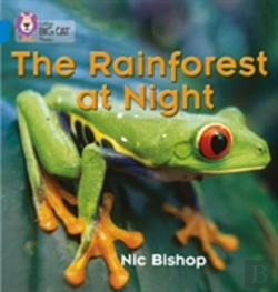 Bertrand.pt - The Rainforest At Night