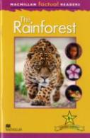 The Rainforest