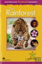 The Rainforest