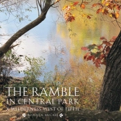 The Ramble In Central Park