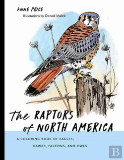 Bertrand.pt - The Raptors Of North America