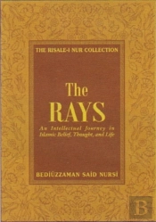 The Rays