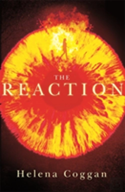 Bertrand.pt - The Reaction