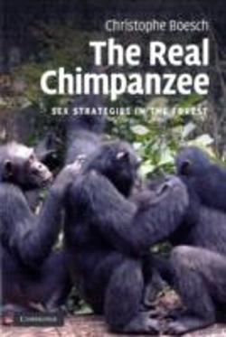 Bertrand.pt - The Real Chimpanzee