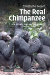 The Real Chimpanzee