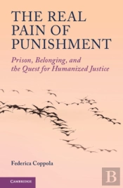 The Real Pain Of Punishment