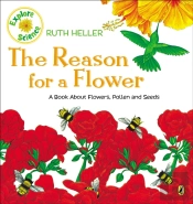 The Reason For A Flower