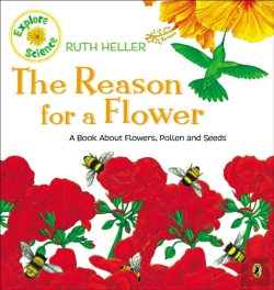 Bertrand.pt - The Reason For A Flower