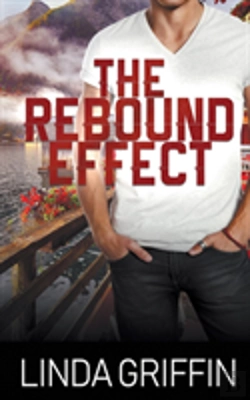 Bertrand.pt - The Rebound Effect