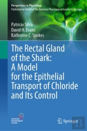 The Rectal Gland Of The Shark: A Model For The Epithelial Transport Of Chloride And Its Control