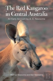 The Red Kangaroo In Central Australia