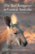 The Red Kangaroo In Central Australia
