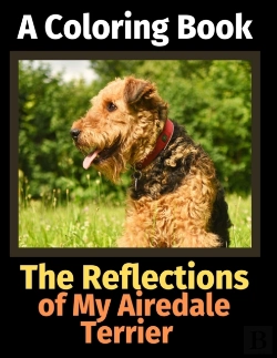 Bertrand.pt - The Reflections Of My Airedale Terrier