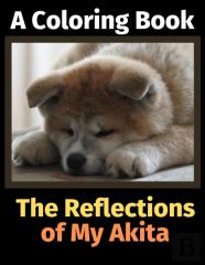 The Reflections Of My Akita