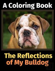 The Reflections Of My Bulldog