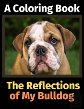 The Reflections Of My Bulldog
