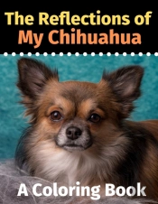 The Reflections Of My Chihuahua