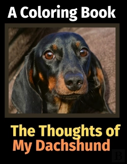 Bertrand.pt - The Reflections Of My Dachshund: A Color