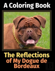The Reflections Of My Dogue De Bordeaux:
