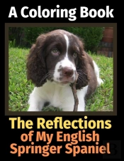 The Reflections Of My English Springer S