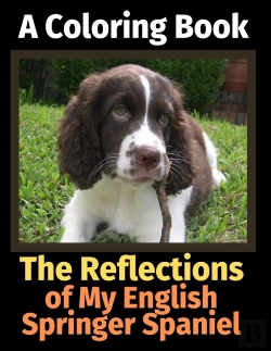 Bertrand.pt - The Reflections Of My English Springer S