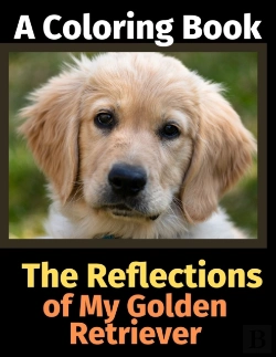 Bertrand.pt - The Reflections Of My Golden Retriever: