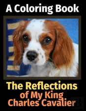 The Reflections Of My King Charles Caval