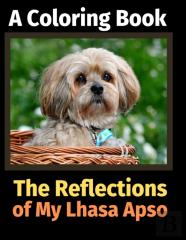 The Reflections Of My Lhasa Apso