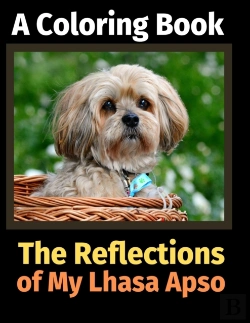 Bertrand.pt - The Reflections Of My Lhasa Apso