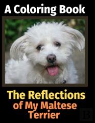 The Reflections Of My Maltese Terrier
