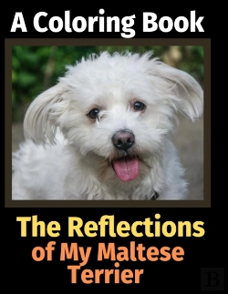 Bertrand.pt - The Reflections Of My Maltese Terrier
