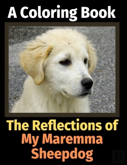 Bertrand.pt - The Reflections Of My Maremma Sheepdog