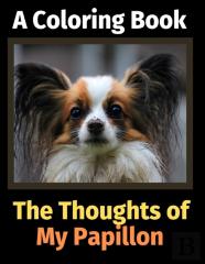 The Reflections Of My Papillon