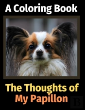 The Reflections Of My Papillon