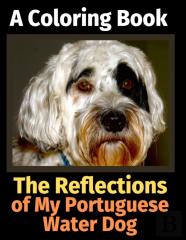 The Reflections Of My Portuguese Water Dog