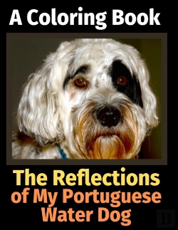 Bertrand.pt - The Reflections Of My Portuguese Water Dog