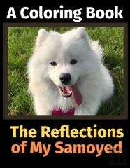 The Reflections Of My Samoyed