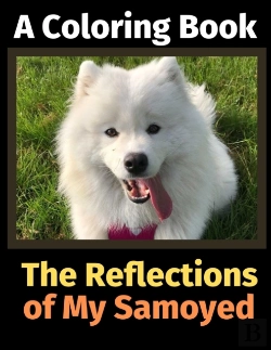 Bertrand.pt - The Reflections Of My Samoyed