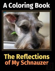 The Reflections Of My Schnauzer