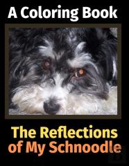 The Reflections Of My Schnoodle
